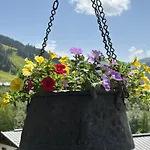 Appartement Haus Nelsen Dienten am Hochkönig