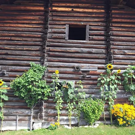 Apartman Haus Nelsen Dienten am Hochkönig