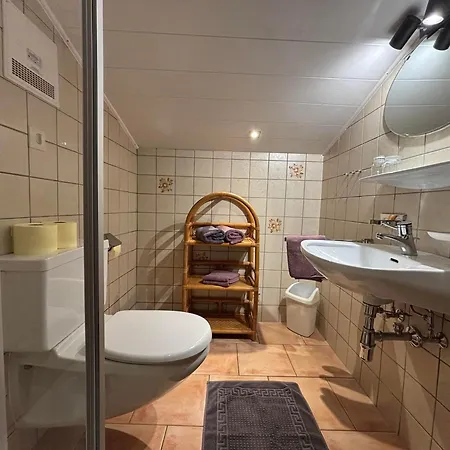 Apartment Haus Nelsen Dienten am Hochkoenig